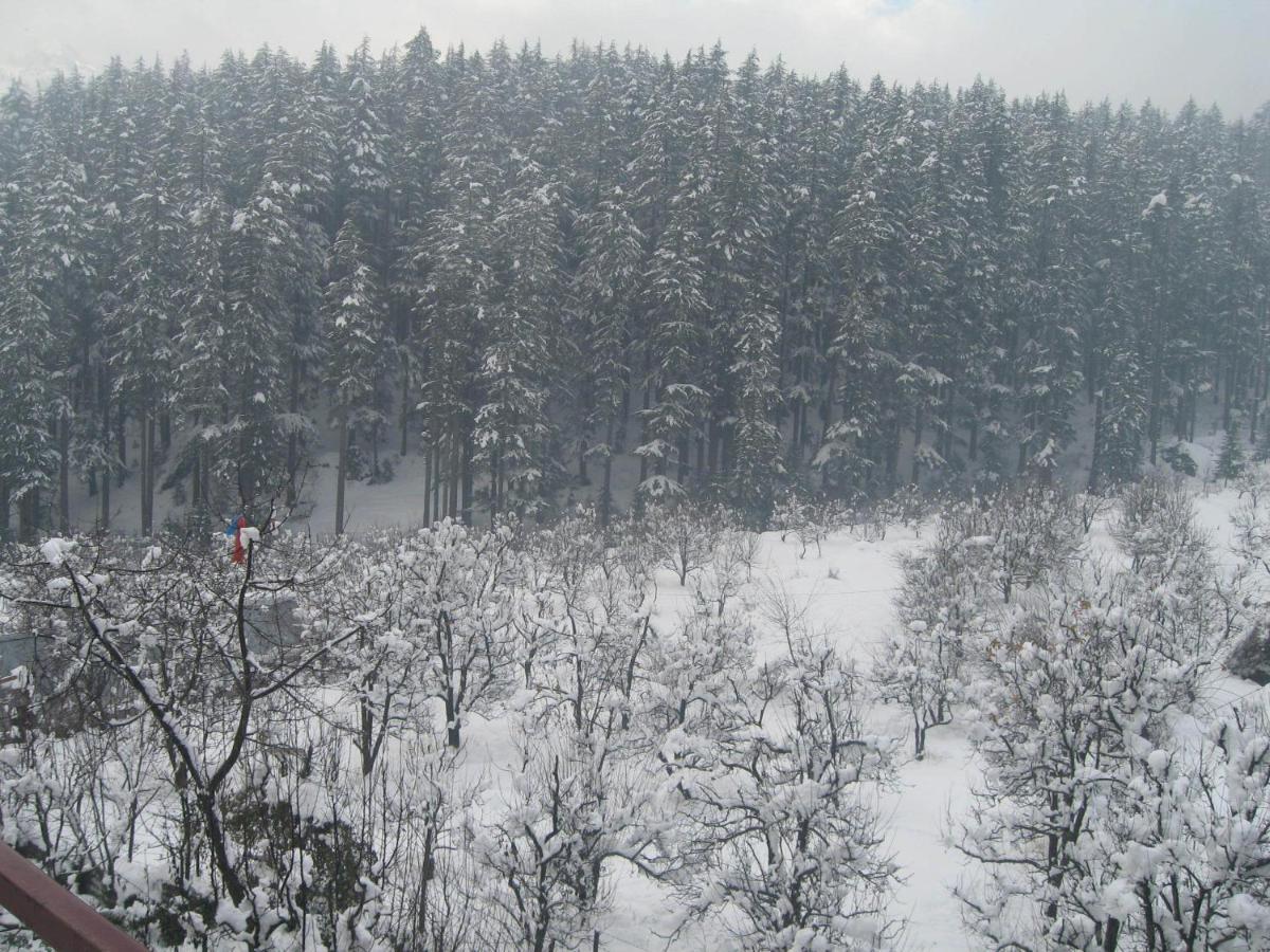 Snow Valley Resorts & Spa Manali Kültér fotó